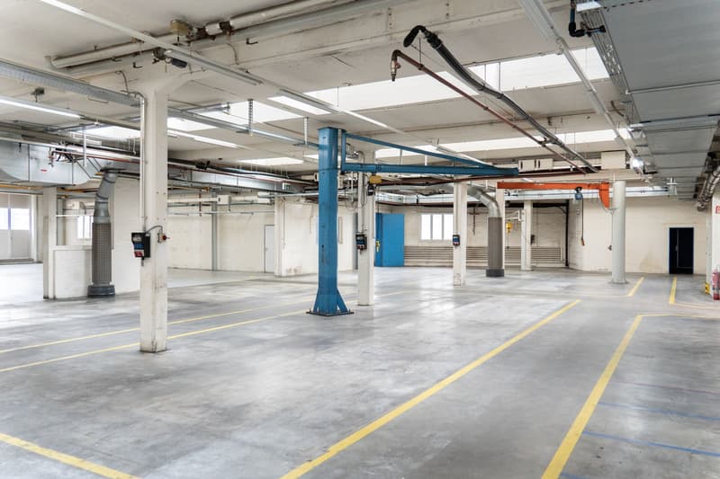 Vielseitige Lagerfläche mit 801 m² in Rupperswil! (4)