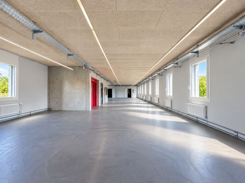 Flexibel nutzbare Gewerbefläche - 396 m2 in Herznach! (3)