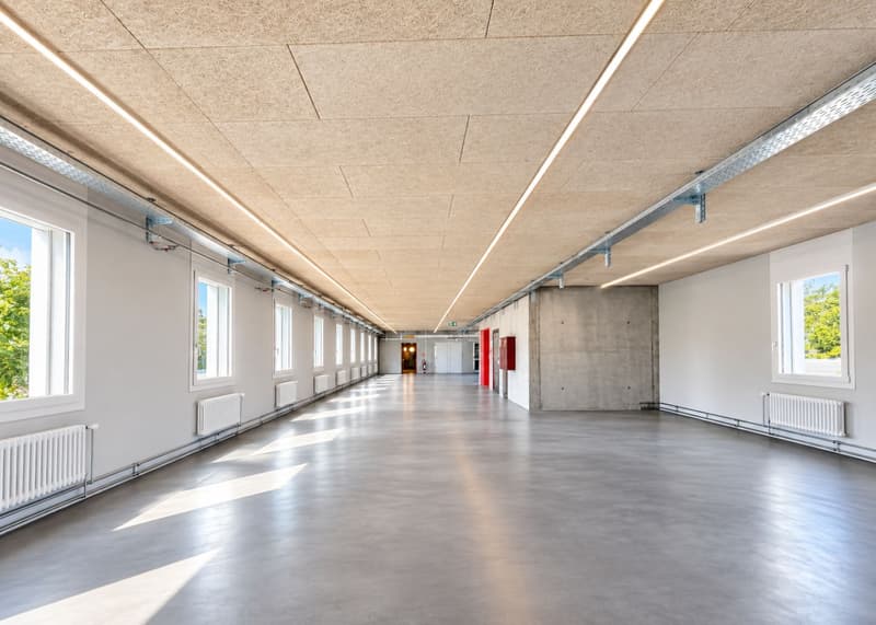 396 m² moderne Bürofläche im Erstbezug in Herznach! (6)