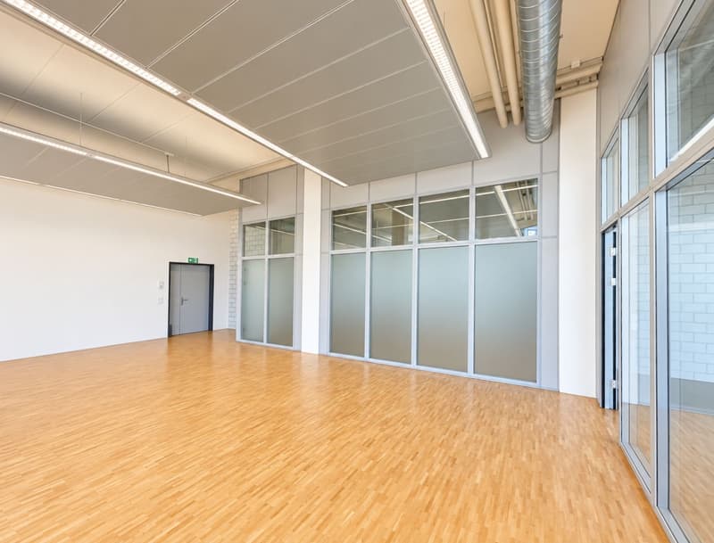 179 m² Büro- oder Gewerbefläche im EG in Hünenberg! (3)
