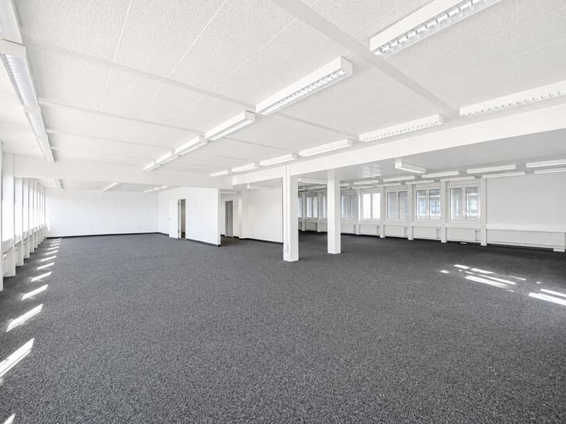 Eigene Etage mit bestem Preis-Leistungs-Verhältnis! (6)