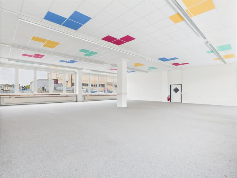 Moderne Gewerberäume im Erdgeschoss in Murten zu vermieten (2)