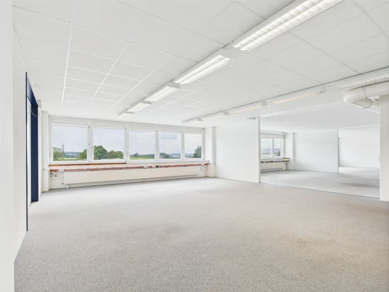 310m2 moderne Gewerbefläche im 2. OG in Murten (1)