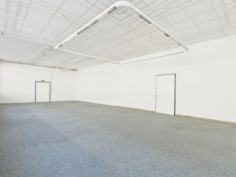 320m2 befahrbare Gewerbefläche im industriellen Design (4)