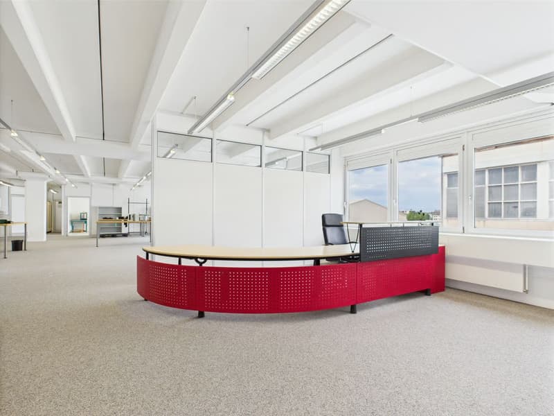350m2 helle Gewerbefläche mit integrierten Büros (2)