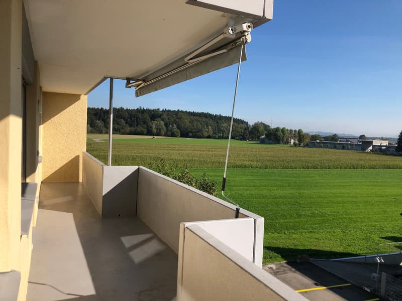 Appartement 4.5 pièces avec grand balcon à 6032 Emmen à louer (11)