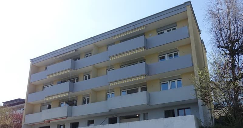 Appartement 4.5 pièces avec grand balcon à 6032 Emmen à louer (13)