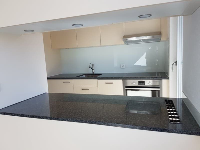 Appartement 4.5 pièces avec grand balcon à 6032 Emmen à louer (6)