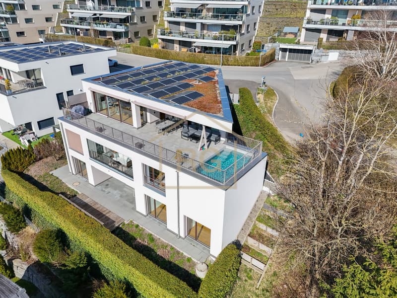 Exclusive 6.5-room house with 4.5-room annex (RESERVED) (2)