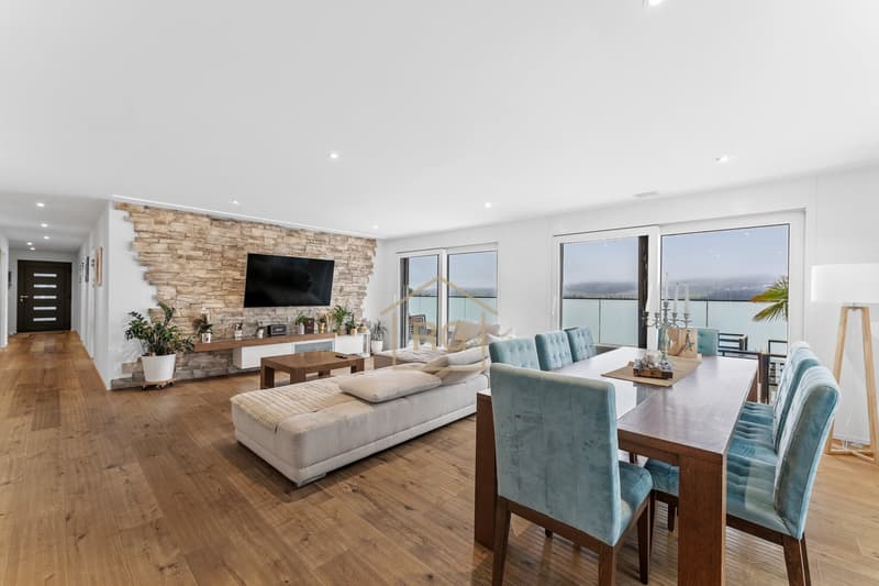 Modern 4.5-room terrace apartment in Triengen (8)