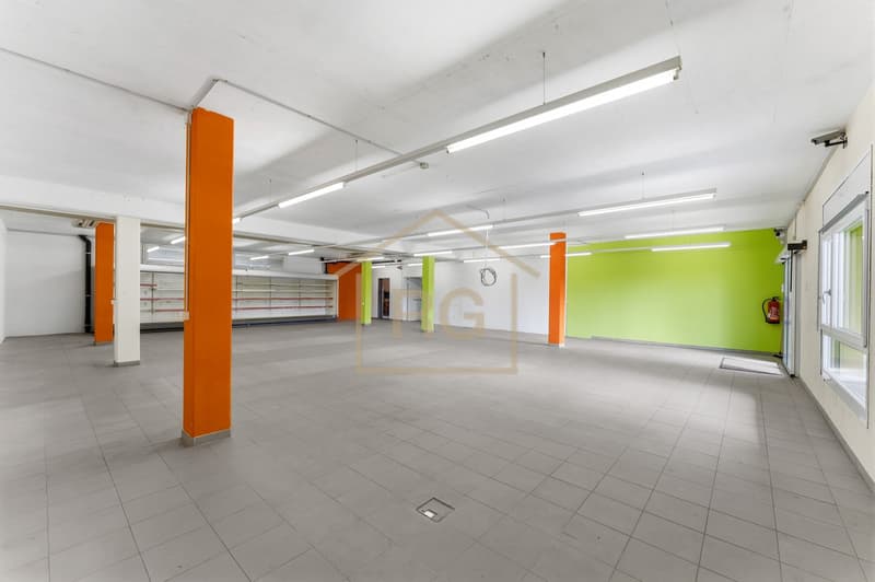 Versatile commercial property in Kottwil (7)