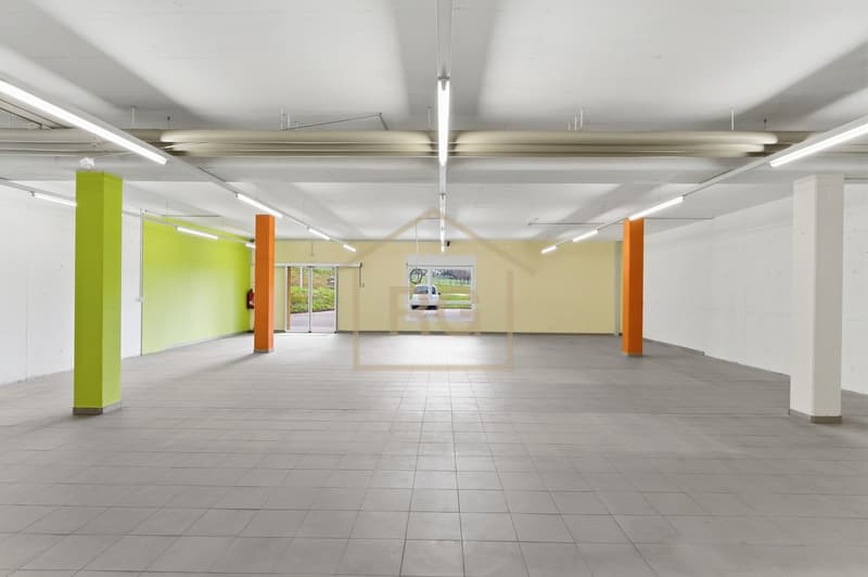 Versatile commercial property in Kottwil (9)