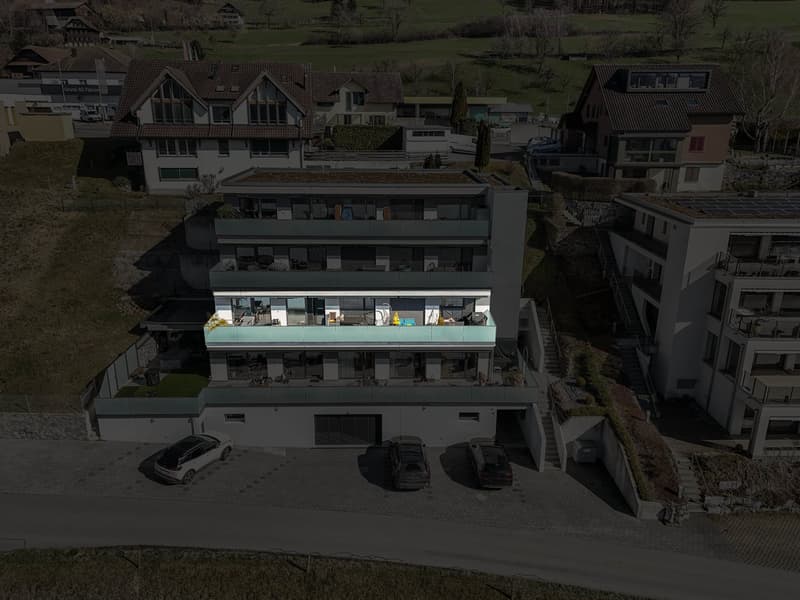 Moderne 4.5-Zimmer-Terrassen-Wohnung in Triengen (4)
