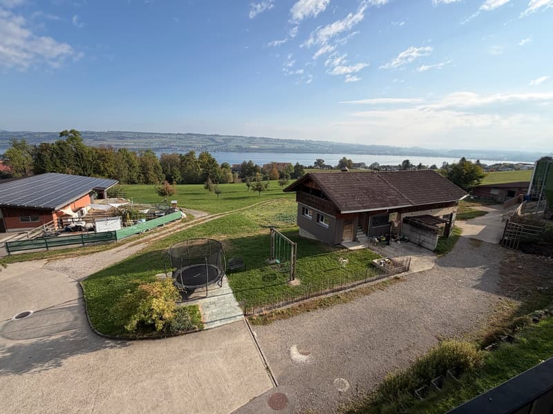Zu vermieten 5.5 Zimmer Wohnung mit Seesicht in Nottwil (6)