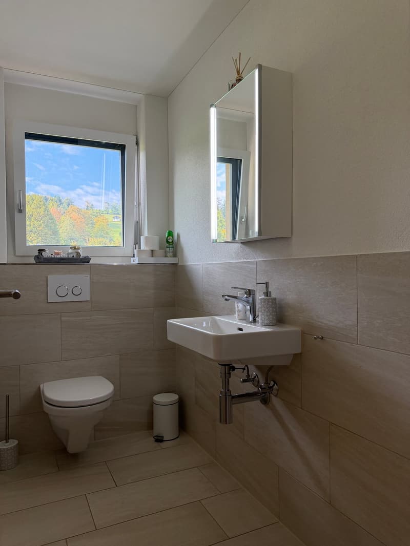 Zu vermieten 5.5 Zimmer Wohnung mit Seesicht in Nottwil (13)