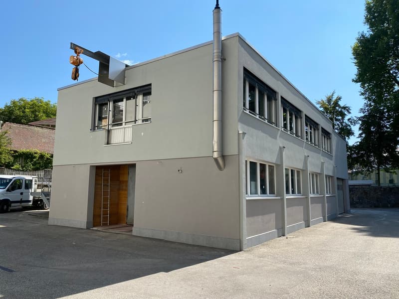 modern single-family house, large windows, chimney, wooden entrance door, metal ladder