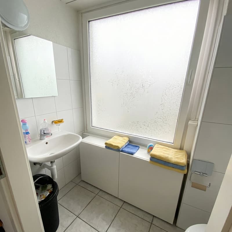 Single sink, mirror, small black trash bin, white tile, white cabinets, towels, soap, shampoo, white toilet
