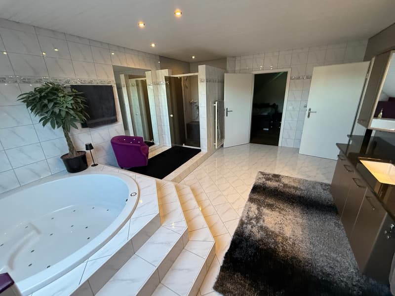 Spacious and stylish single-family house (5)