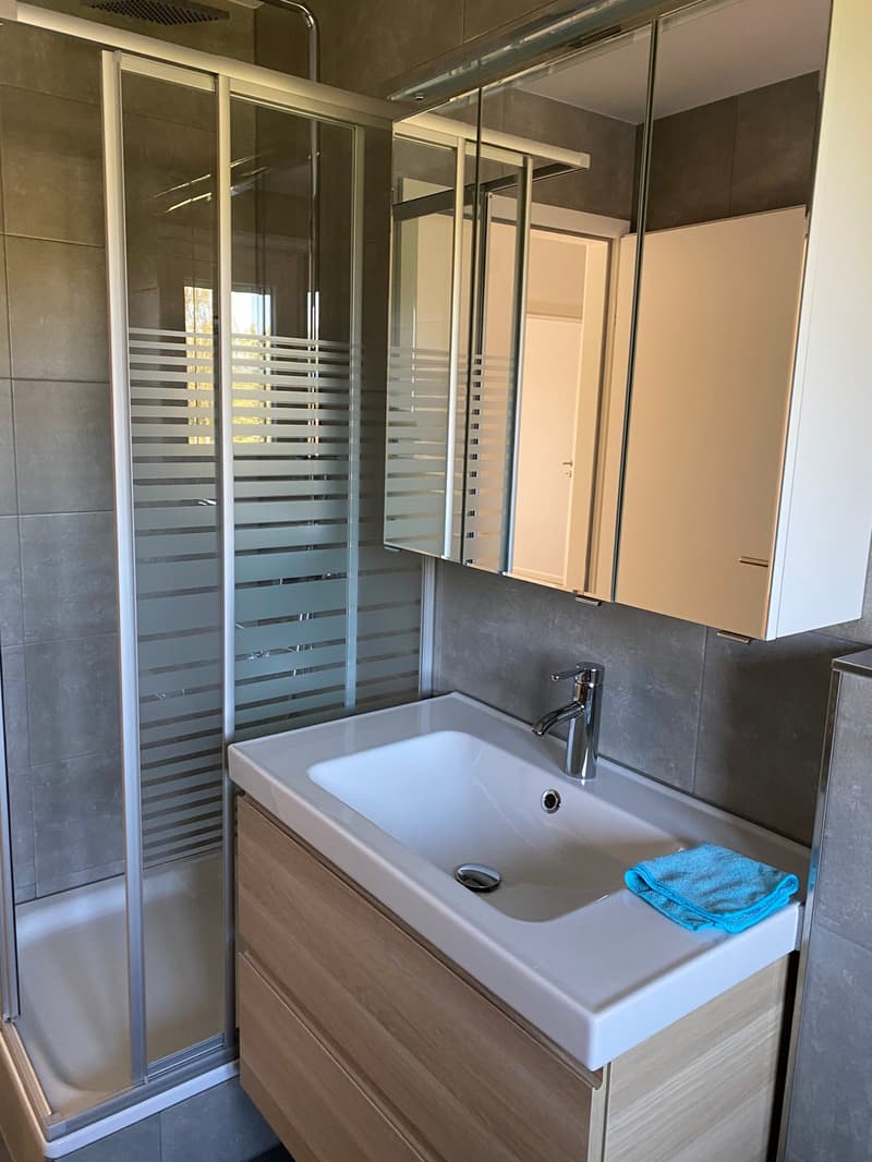 Appartamento 3.0 locali con balcone e vista sulla città a Olten (4)