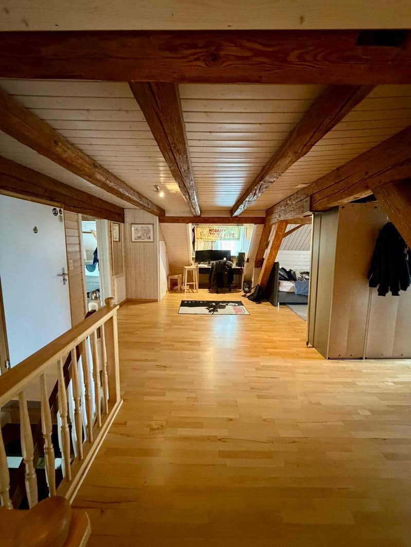 Renditeobjekt an ruhiger Lage von Dintikon (2)