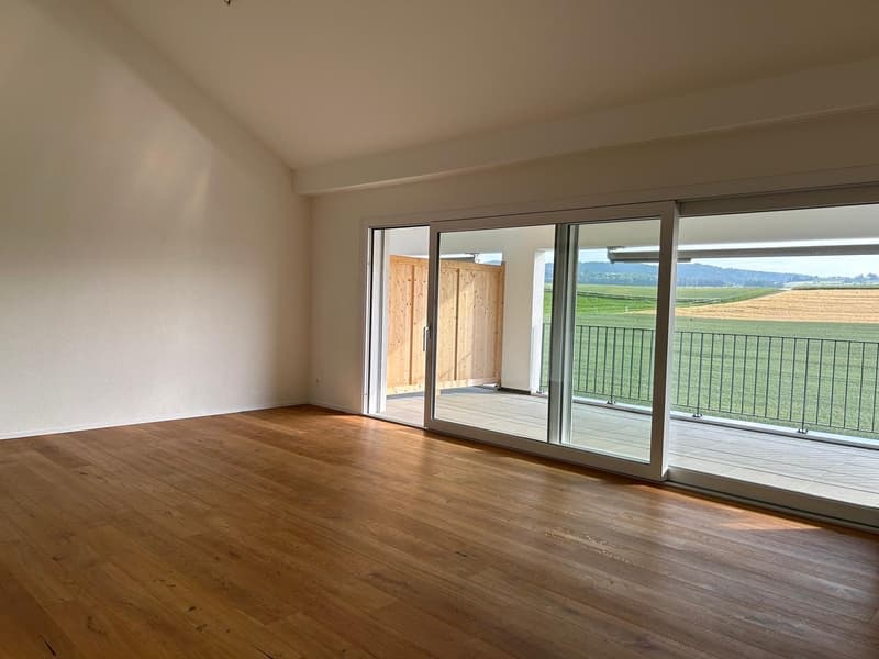 Appartamento moderno 2.5 locali con ampio balcone e vista panoramica a Egliswil (1)