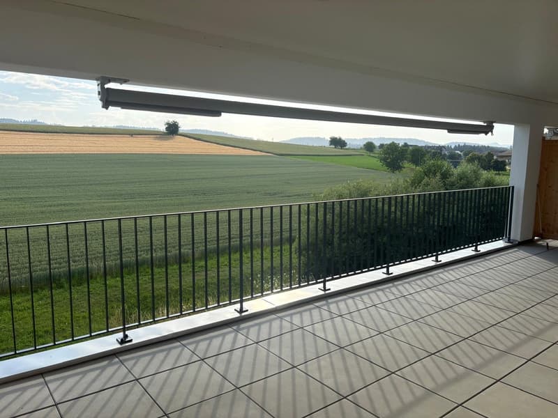 Appartamento moderno 2.5 locali con ampio balcone e vista panoramica a Egliswil (7)
