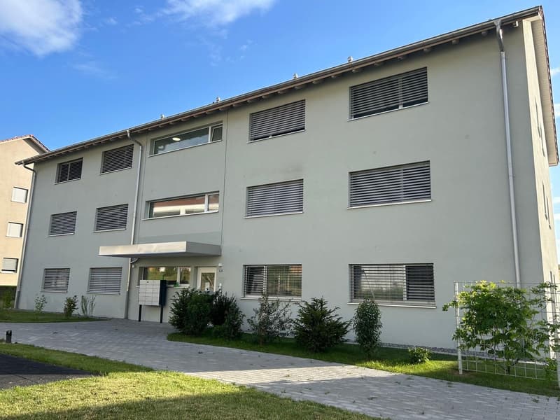 Appartamento moderno 2.5 locali con ampio balcone e vista panoramica a Egliswil (8)