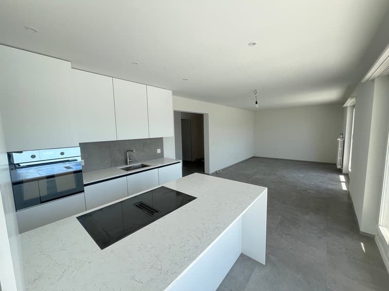 Premier occupant après rénovation totale – appartement moderne de 2,5 pièces avec 2 grandes terrasses à Olten (2)