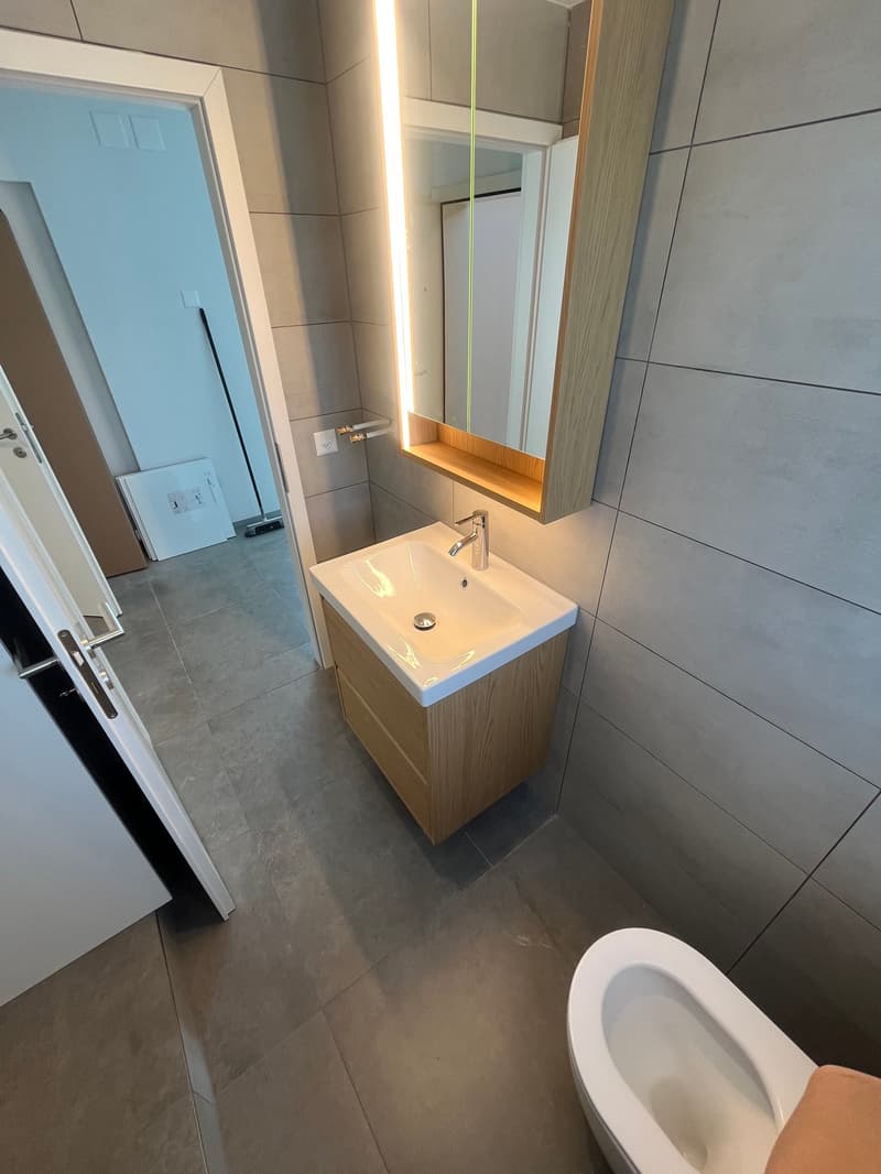 Premier occupant après rénovation totale – appartement moderne de 2,5 pièces avec 2 grandes terrasses à Olten (6)
