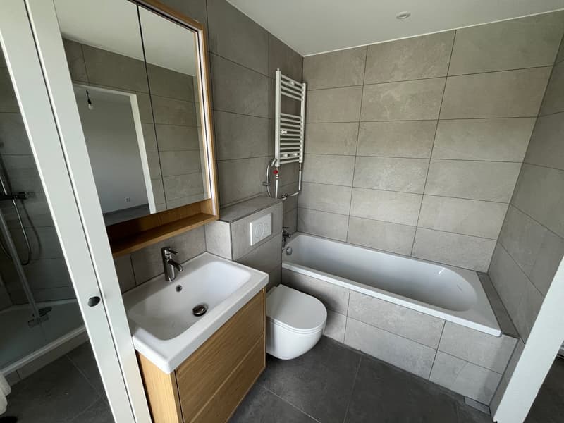 First occupancy after total renovation – modern 2.5-room attic apartment with 2 large terraces in Olten (6)