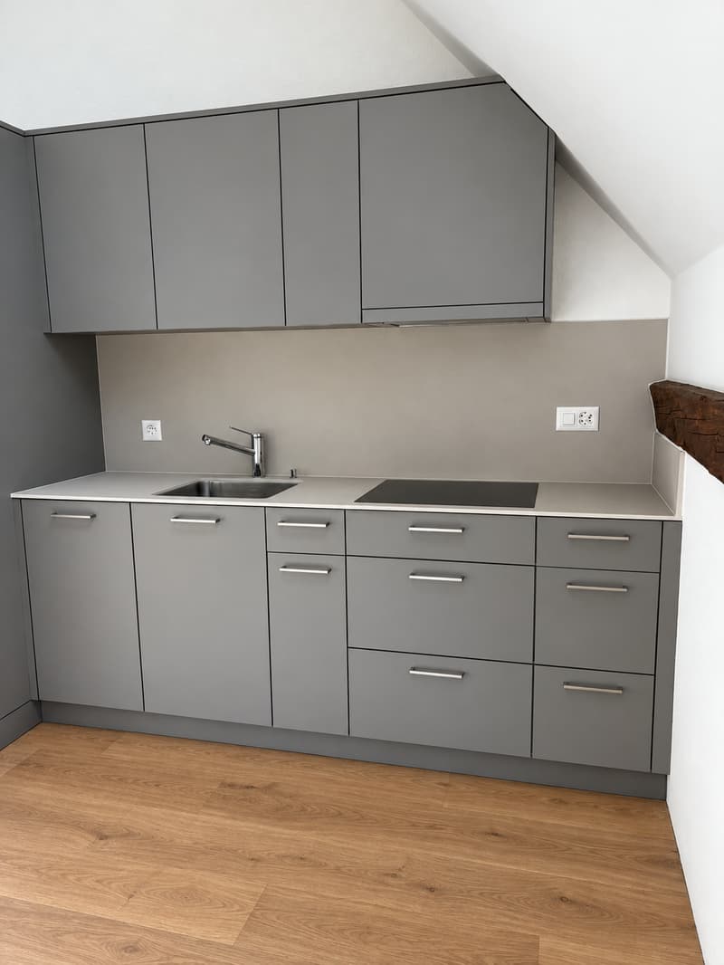 Von der Schreinerei zum Wohntraum / Erstvermietung – moderne 2.5-Zimmer-Wohnungen (2)