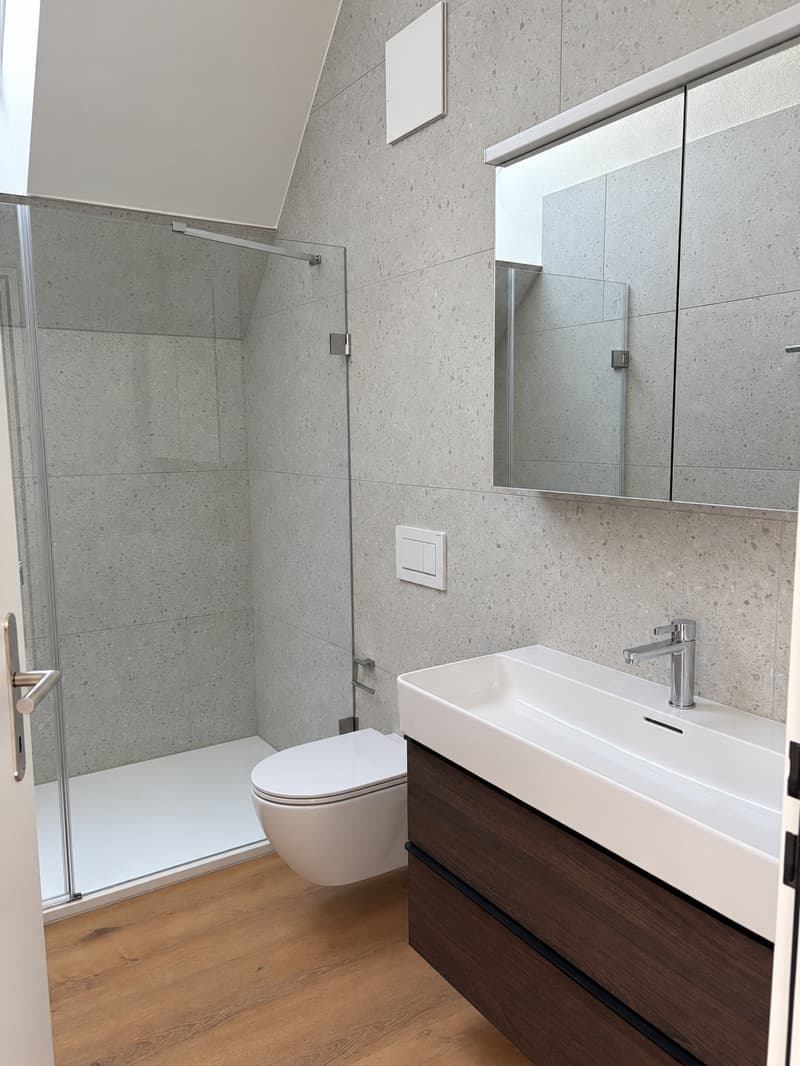 Von der Schreinerei zum Wohntraum / Erstvermietung – moderne 2.5-Zimmer-Wohnungen (3)