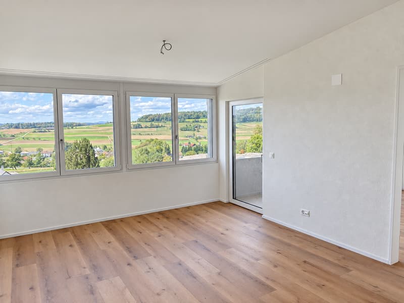 Von der Schreinerei zum Wohntraum / Erstvermietung – moderne 3.5-Zimmer-Wohnungen (4)