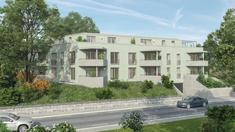 3.5 Zimmer-Attikawohnung in Gehdistanz zum Hauptbahnhof Winterthur (4)