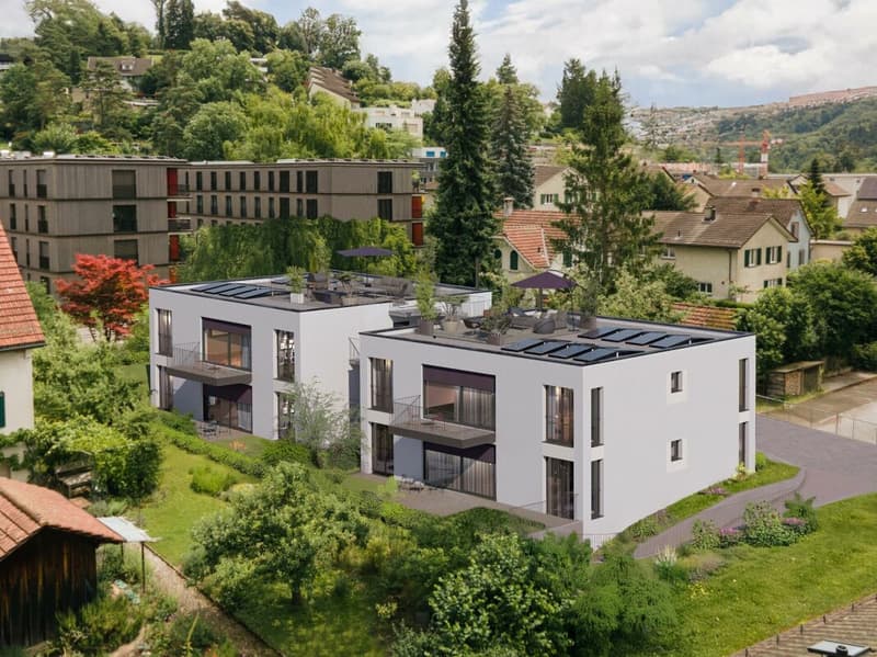 4.5 Zimmer-Gartenwohnung in Winterthur-Wülflingen (1)