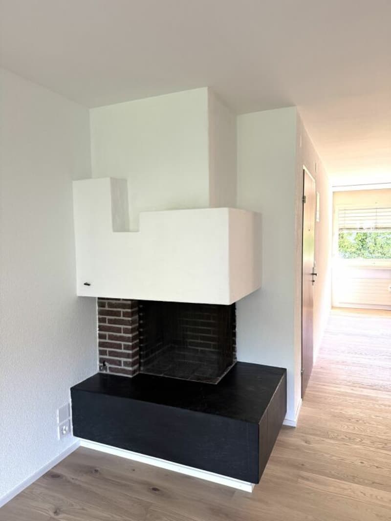 As of October 1, 2026 - renovated 4.0-room apartment with large balcony in central location (2nd floor) (16)