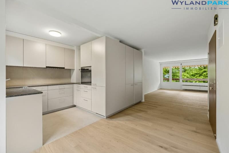 As of October 1, 2026 - renovated 4.0-room apartment with large balcony in central location (2nd floor) (2)