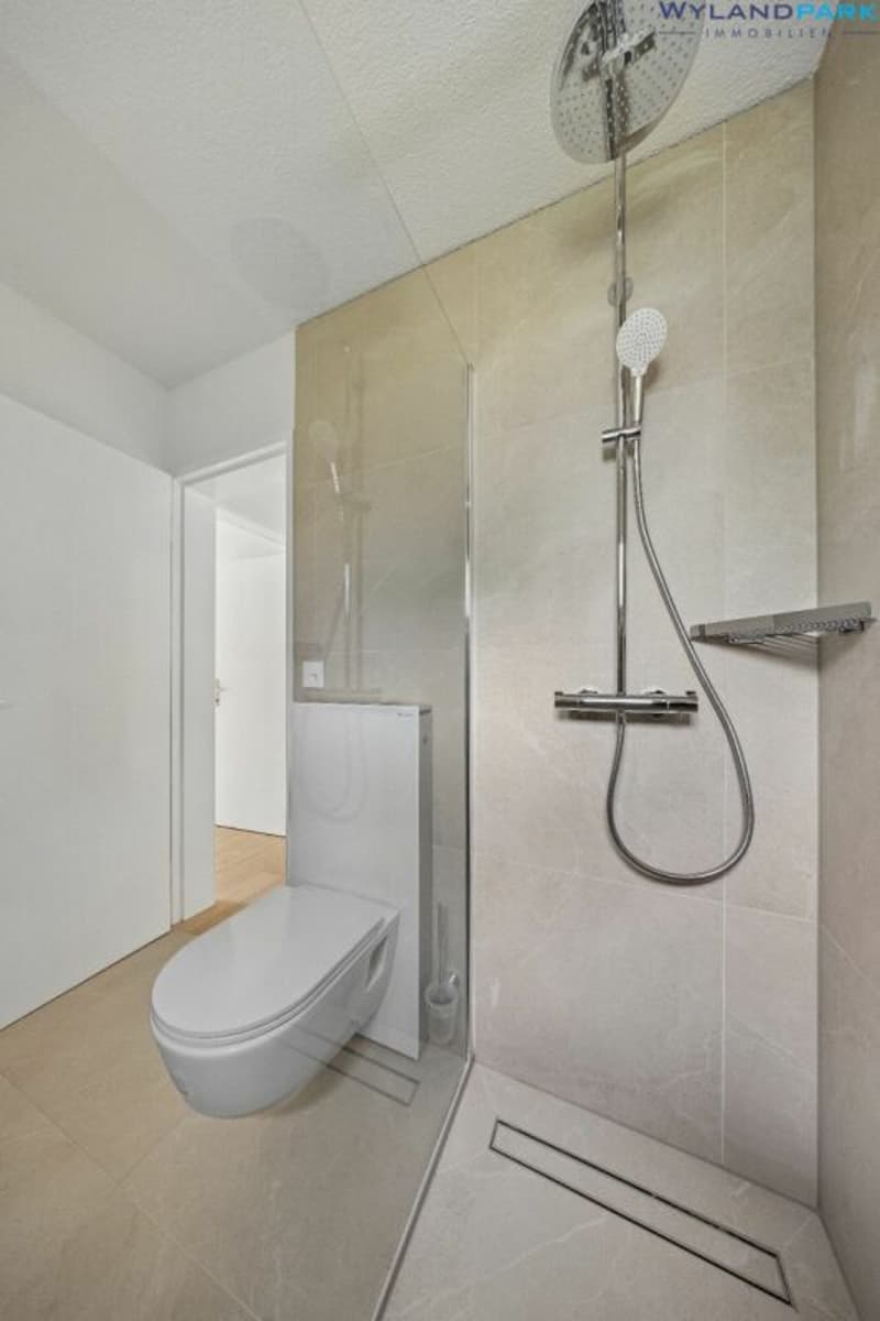 sanierte 4.0-Zimmerwohnung mit grossem Balkon an zentraler Lage (1.OG) Kopie (9)