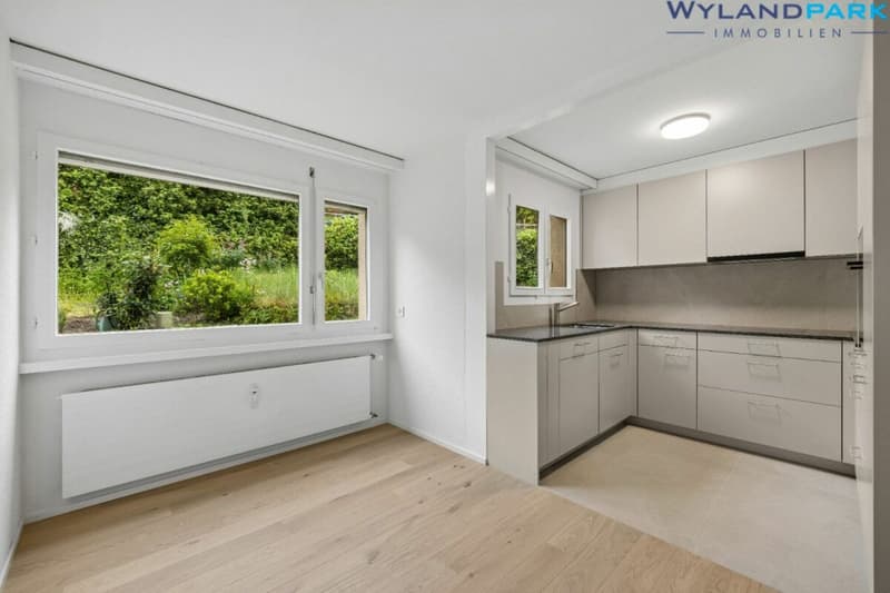 sanierte 4.0-Zimmerwohnung mit grossem Balkon an zentraler Lage (1.OG) Kopie (3)