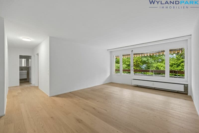 sanierte 4.0-Zimmerwohnung mit grossem Balkon an zentraler Lage (1.OG) Kopie (11)