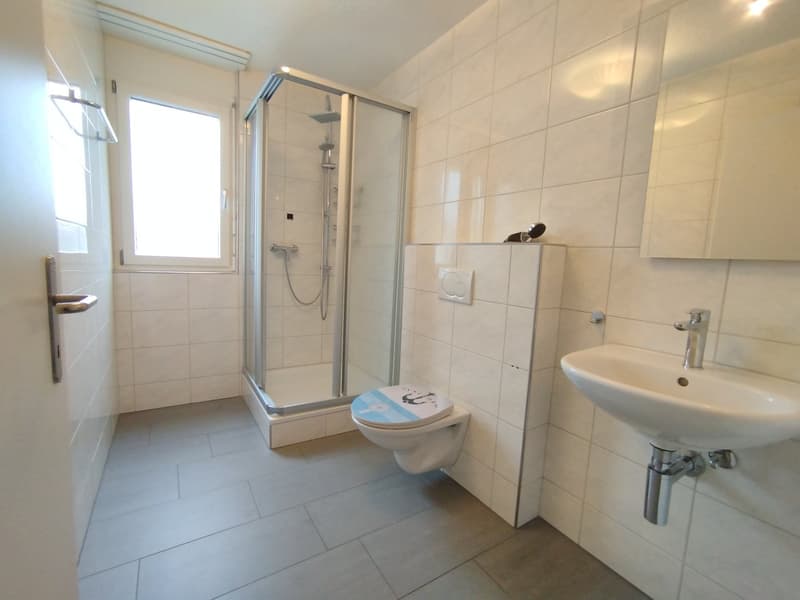Ampia maisonette di 5,5 locali (13)