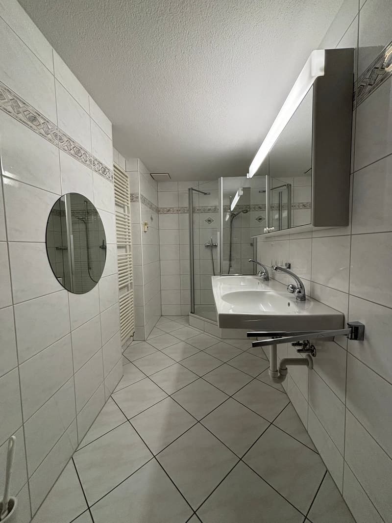 Bathroom with white tiles, sink, mirror, toilet paper holder, and a glass-enclosed shower.