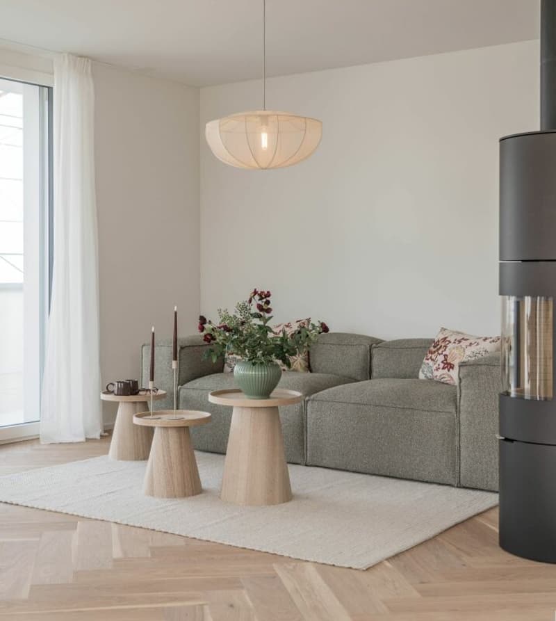 4.5-Room Attic Apartment (6)