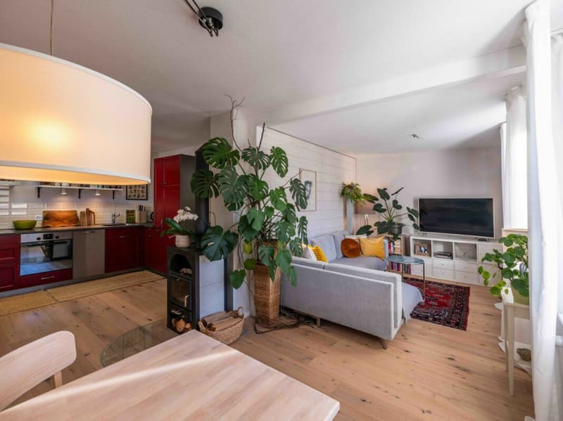 Charming Single-Family Home (1)