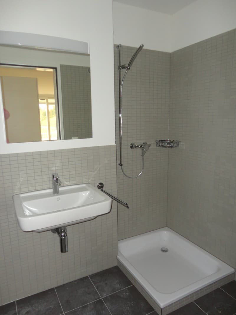 4 1/2-room garden apartment with large covered terrace (7)