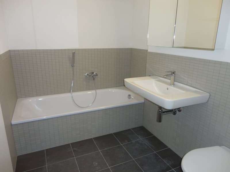 4 1/2-room garden apartment with large covered terrace (8)