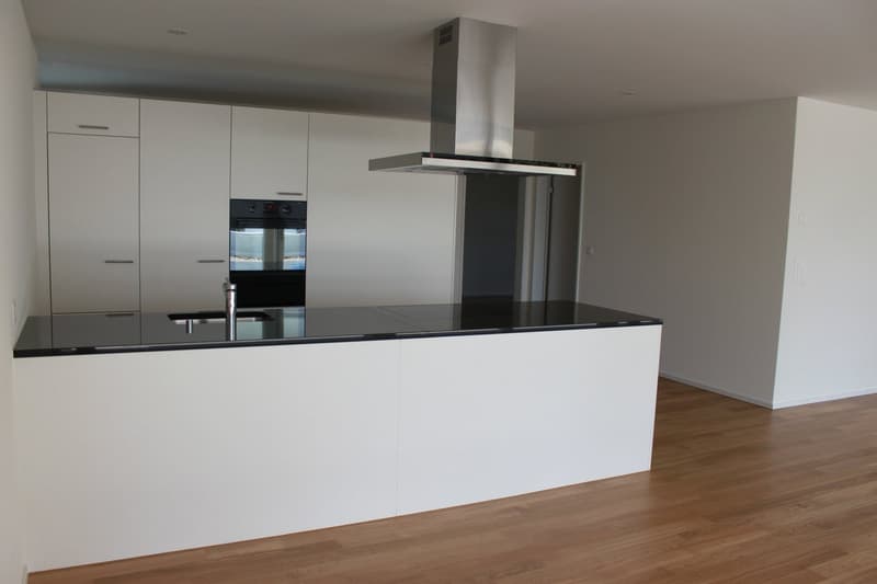 Appartamento in mansarda di 3 1/2 locali con vista sulle montagne (2)