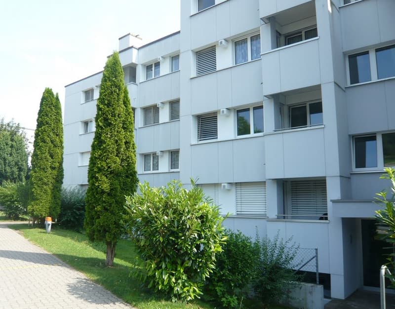 Aussenansicht_Dielsdorferstr_Baumackerstr_3.jpg