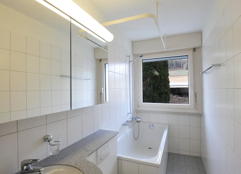 TELLCO_Buchs_Dielsdorferstr.26_0074.jpg