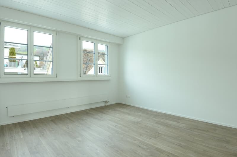 Herrengasse_13__4.OG_4.5Z_3288.jpg